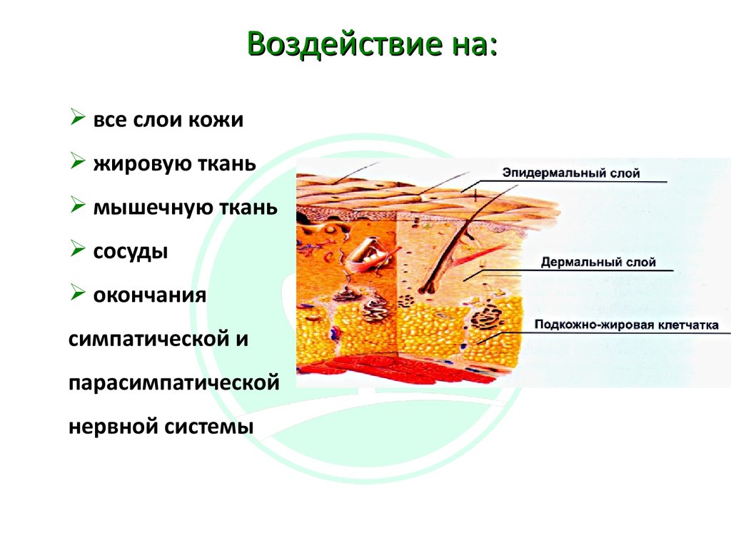 воздействие.jpg